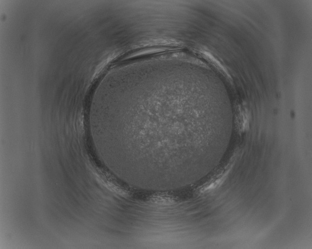 X0000073890207200608180942