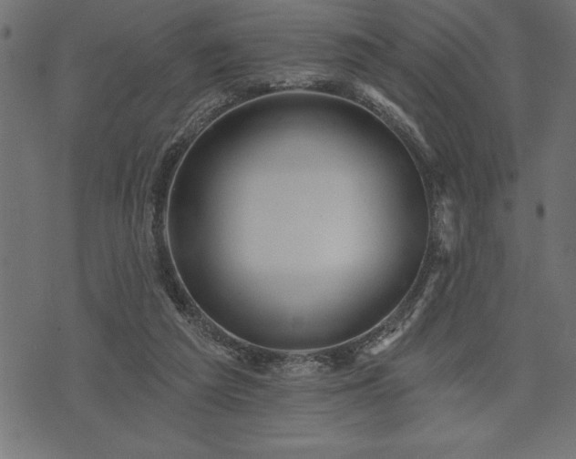 X0000073890209200608180942