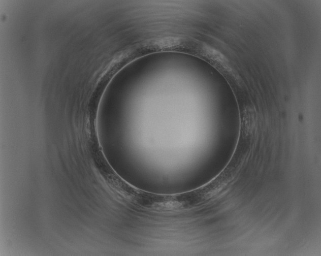 X0000073890212200608180942