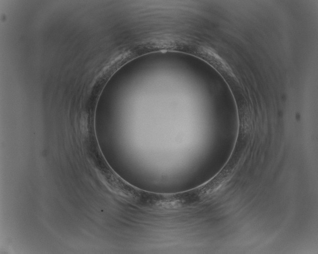 X0000073890213200608180942