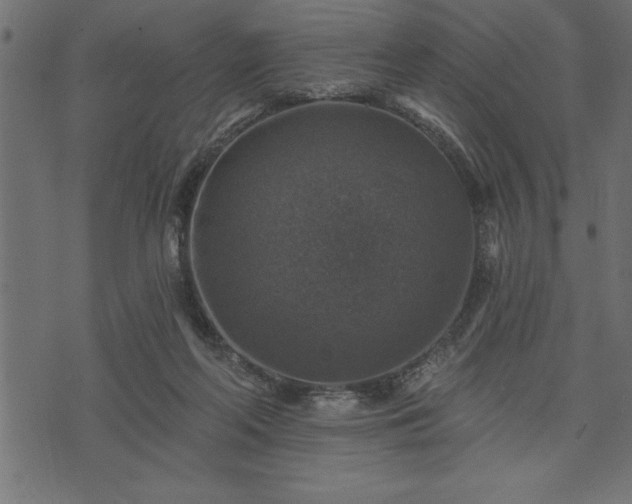 X0000073890214200608180942