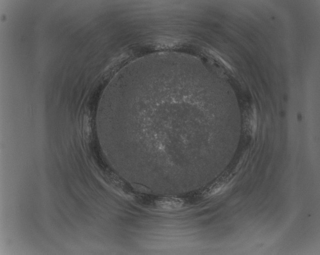 X0000073890215200608180942