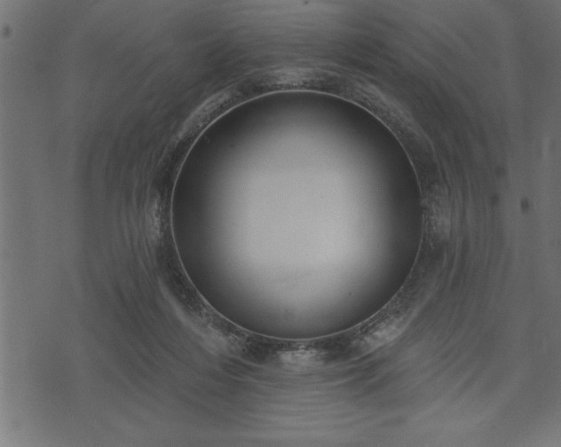 X0000073890216200608180942