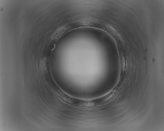 X0000073890217200608180942