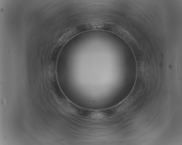 X0000073890218200608180942