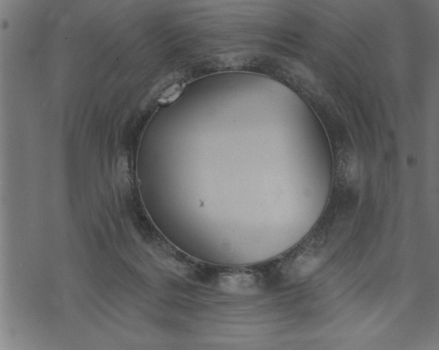 X0000073890220200608180942