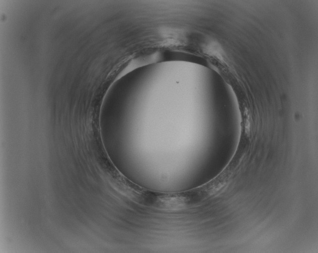 X0000073890221200608180942