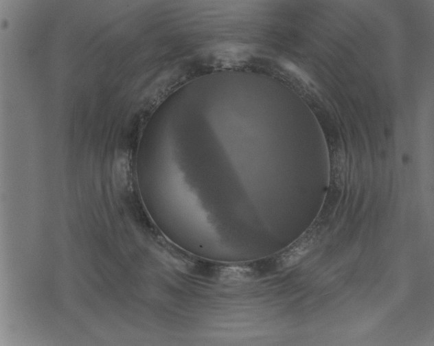 X0000073890222200608180942