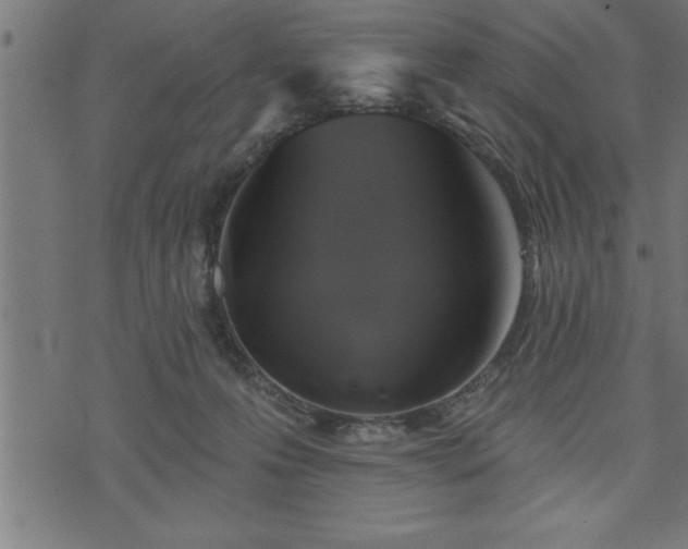 X0000073890223200608180942