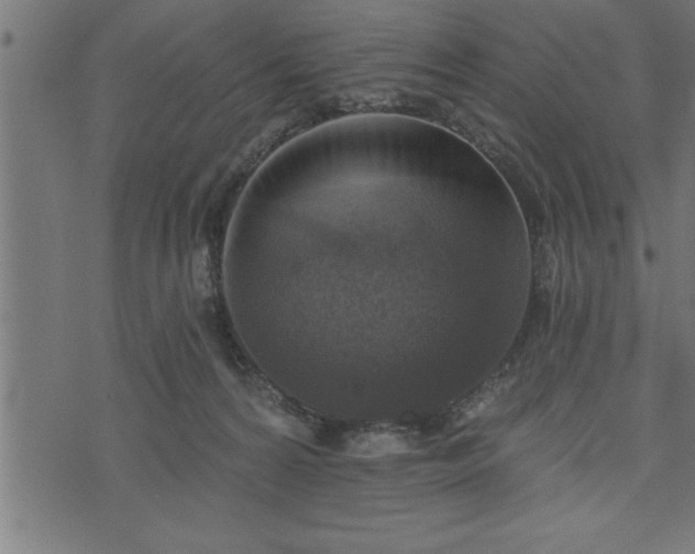 X0000073890224200608180941