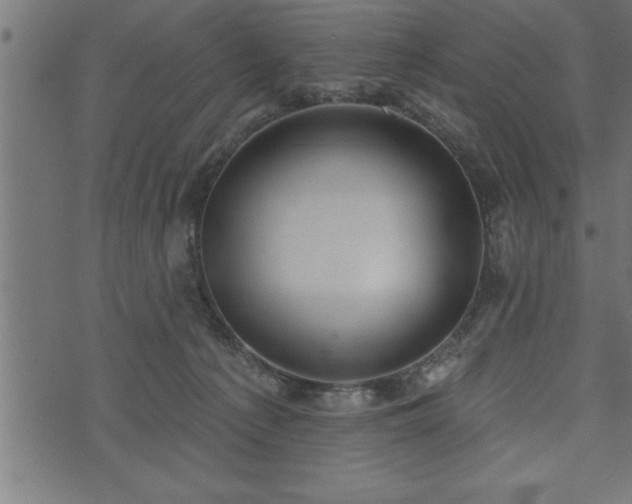 X0000073890225200608180941