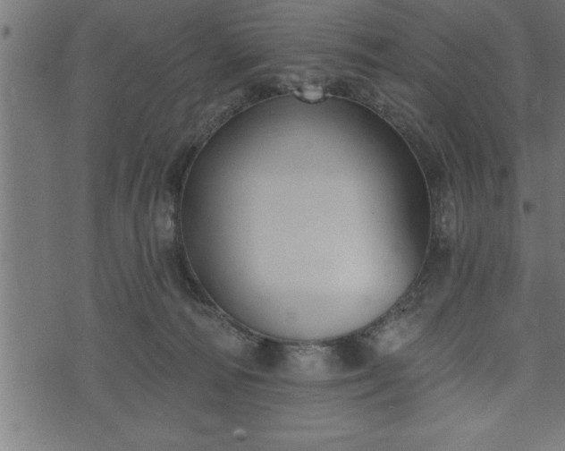 X0000073890226200608180941