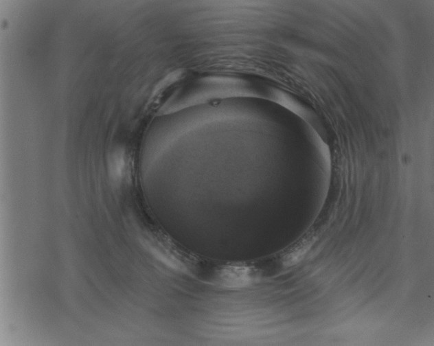 X0000073890227200608180941