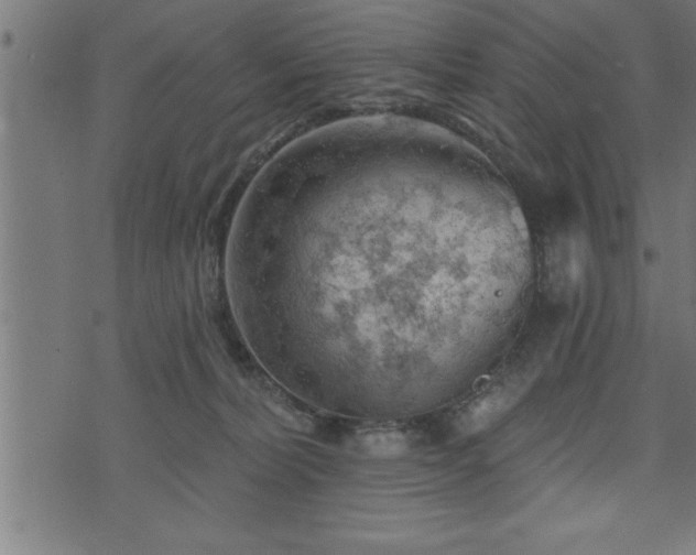 X0000073890228200608180941