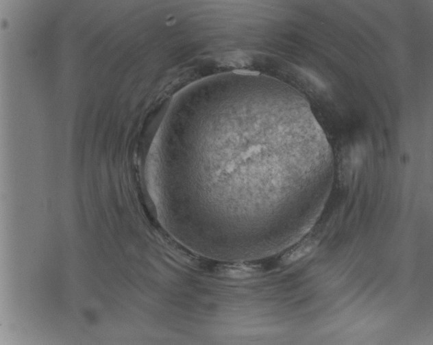 X0000073890229200608180941