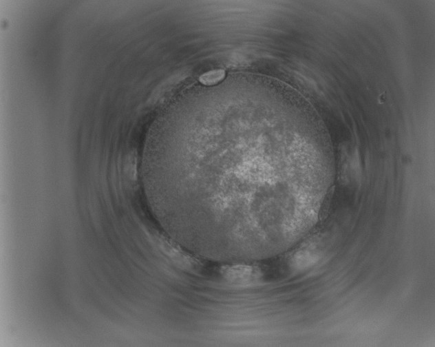 X0000073890230200608180941