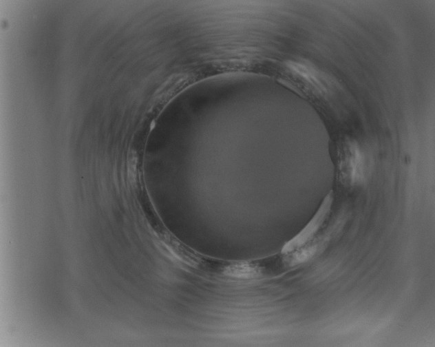 X0000073890231200608180941