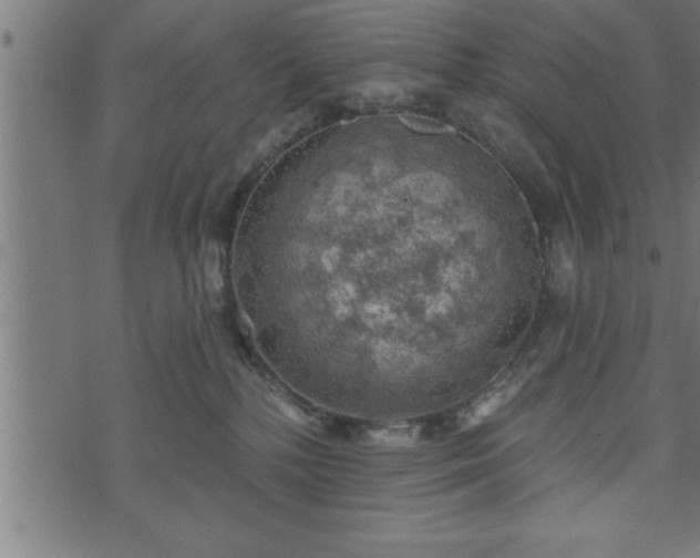 X0000073890232200608180941