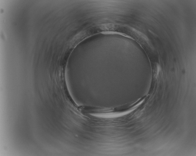 X0000073890233200608180941