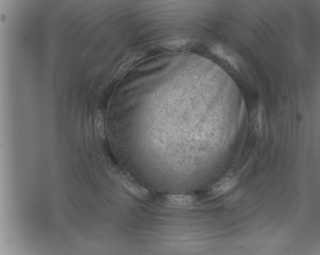 X0000073890234200608180941