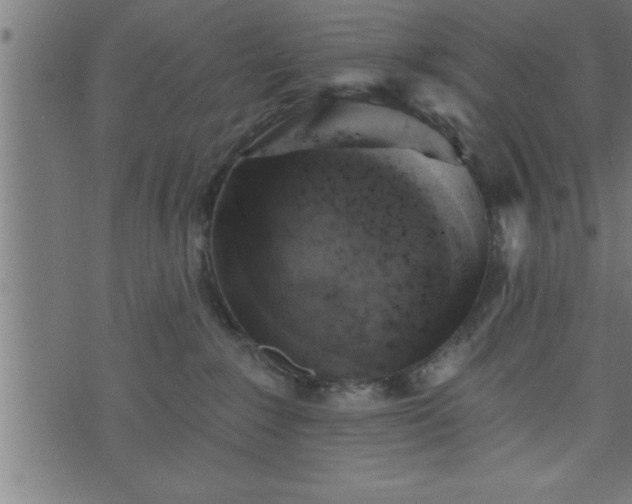 X0000073890235200608180941