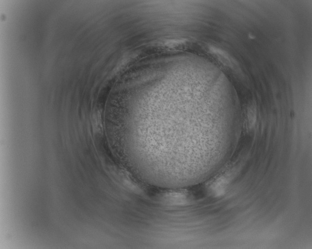 X0000073890236200608180941