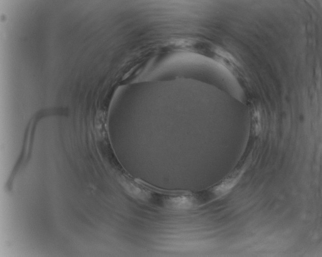 X0000073890237200608180941