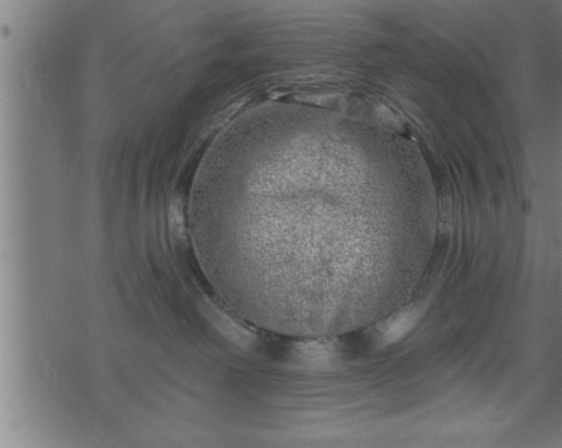 X0000073890238200608180941