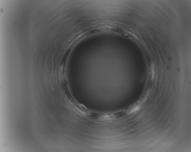 X0000073890239200608180941