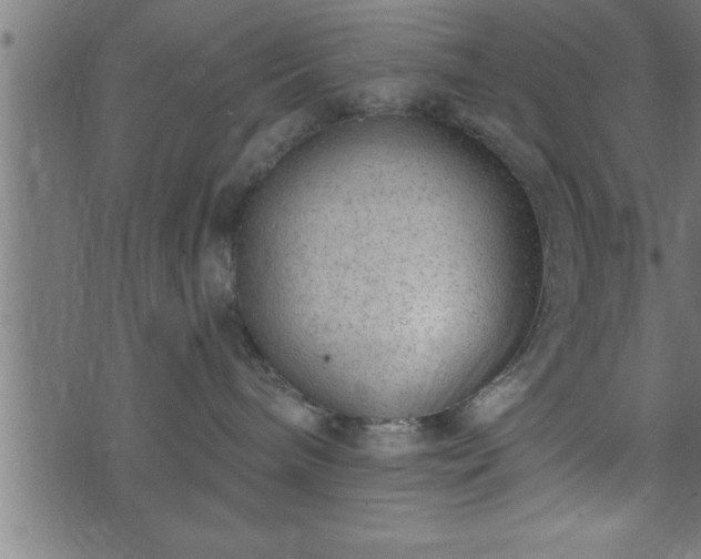 X0000073890240200608180941