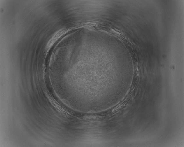 X0000073890242200608180940