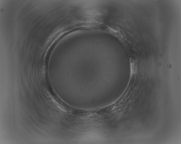 X0000073890243200608180940