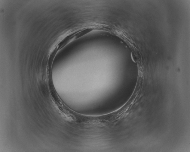 X0000073890244200608180941