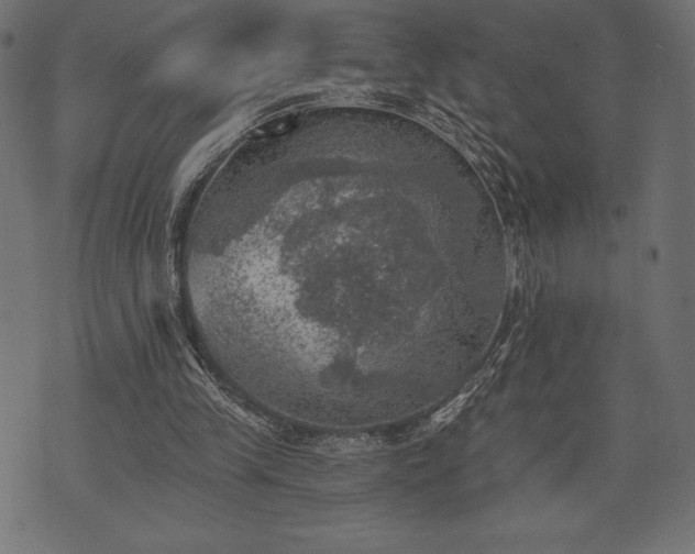 X0000073890245200608180941