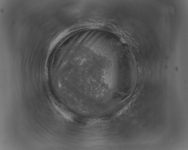 X0000073890246200608180941