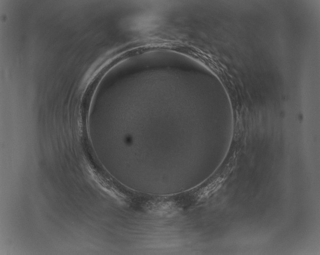 X0000073890247200608180941