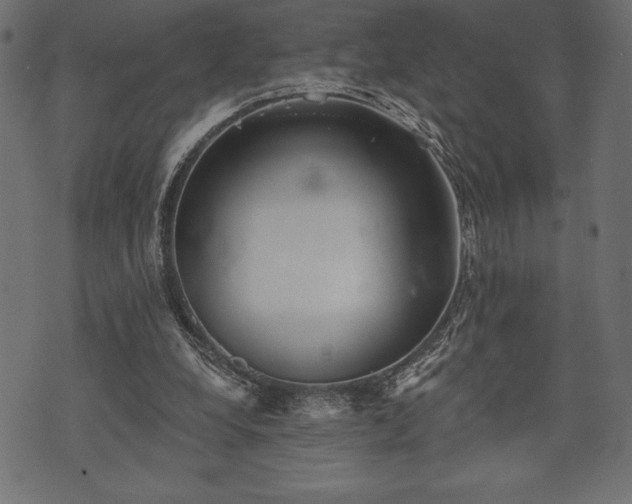 X0000073890248200608180941