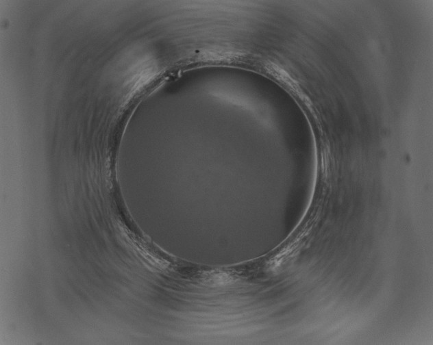 X0000073890249200608180941