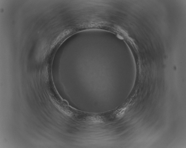 X0000073890250200608180941