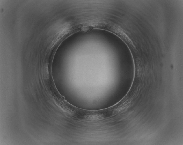 X0000073890251200608180941