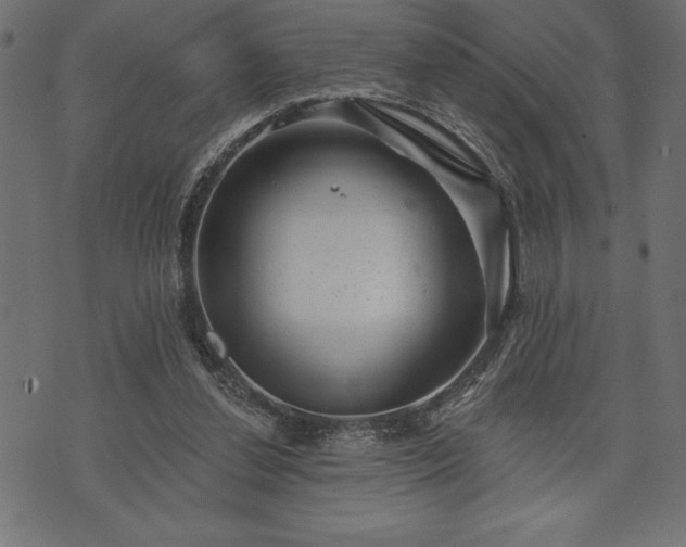 X0000073890252200608180941