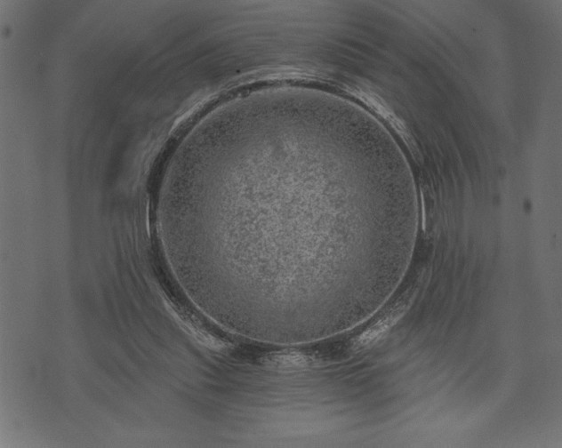 X0000073890253200608180941