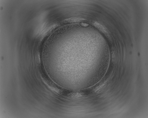 X0000073890254200608180941