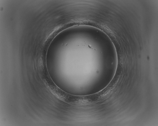 X0000073890256200608180941