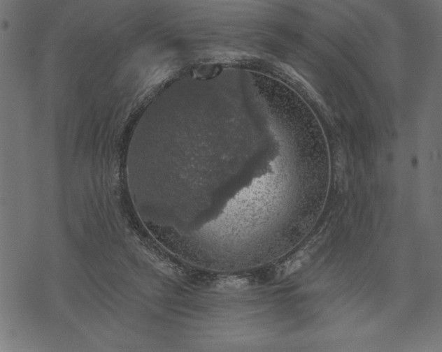 X0000073890257200608180941