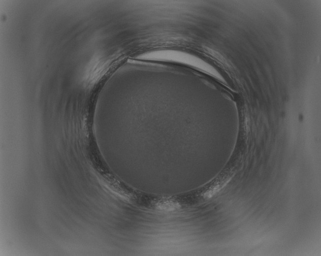 X0000073890258200608180941