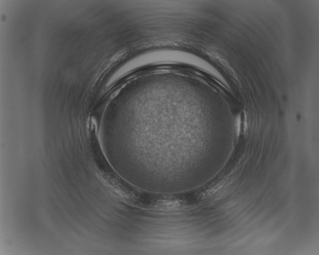 X0000073890260200608180941