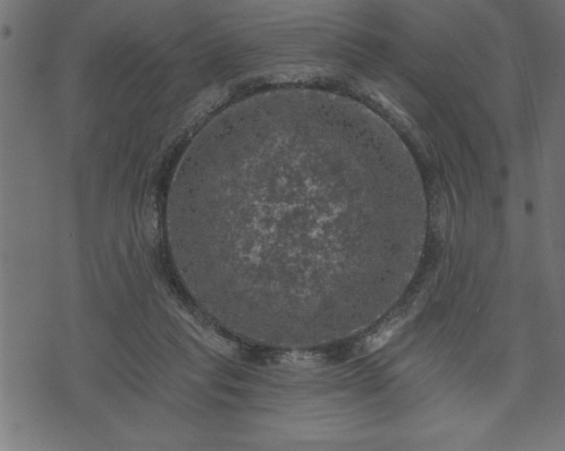 X0000073890261200608180941