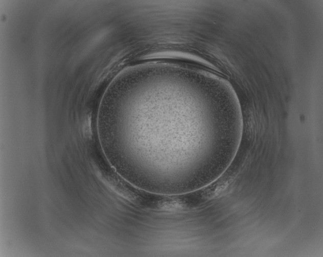 X0000073890262200608180941