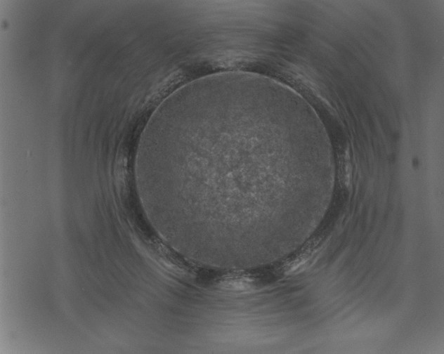 X0000073890263200608180941